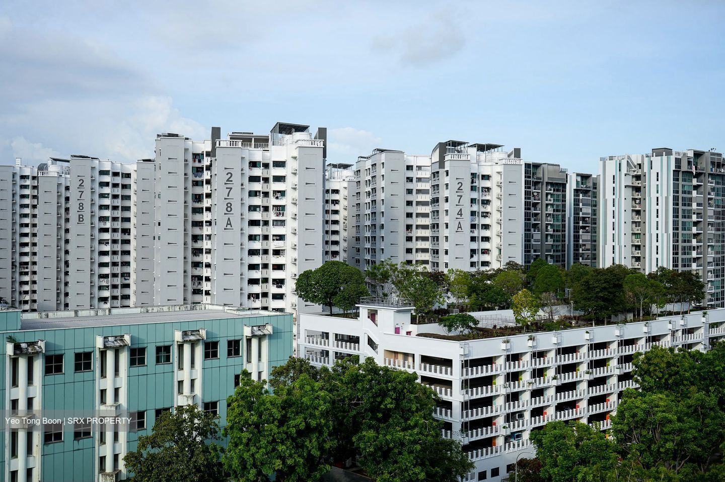 Blk 278A Compassvale Helm (Sengkang), HDB 4 Rooms #593735611